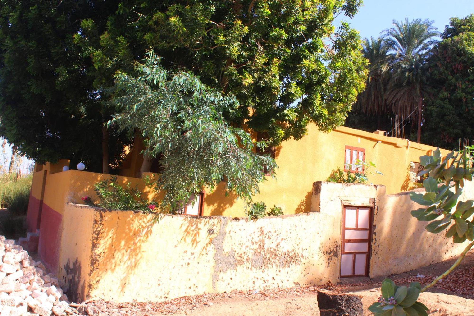 Hamo Guest House Asvan Dış mekan fotoğraf